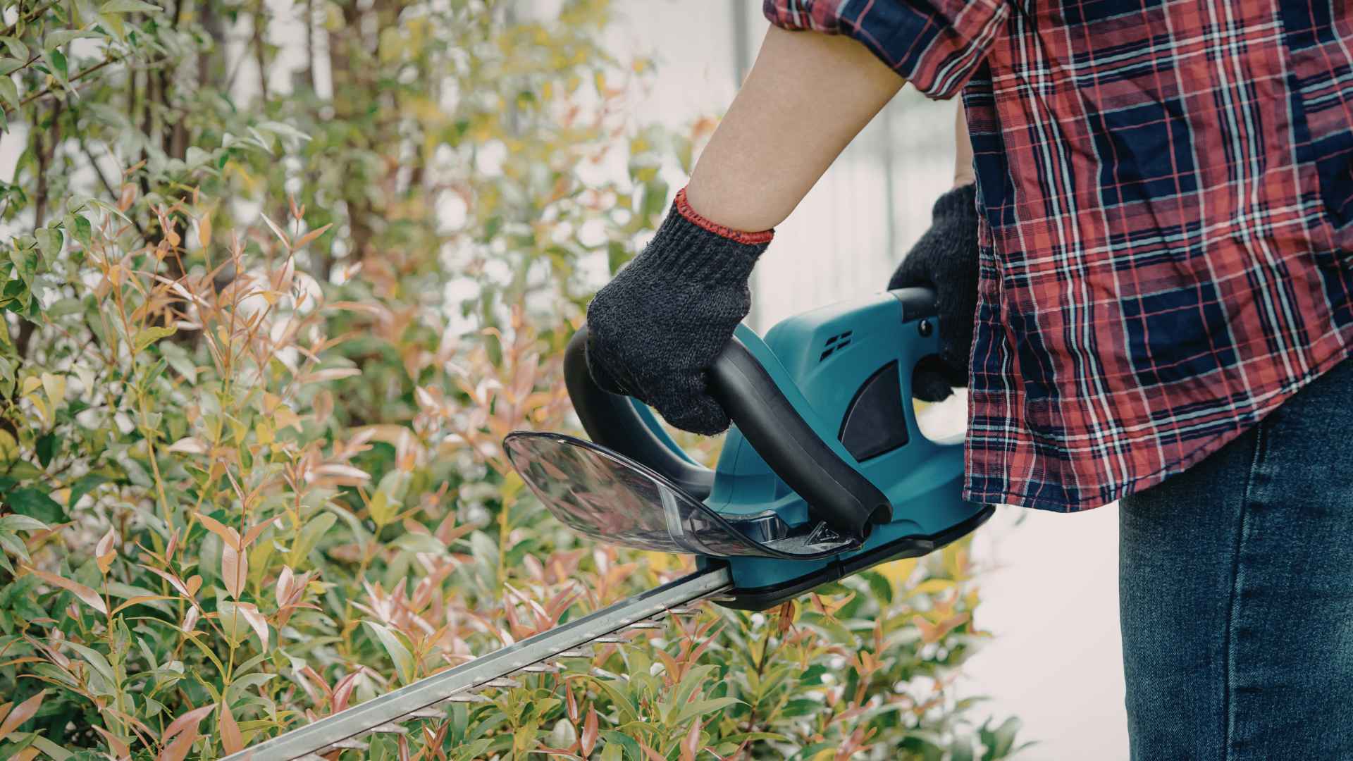 Garden maintenance and hedge trimming in Hedge End